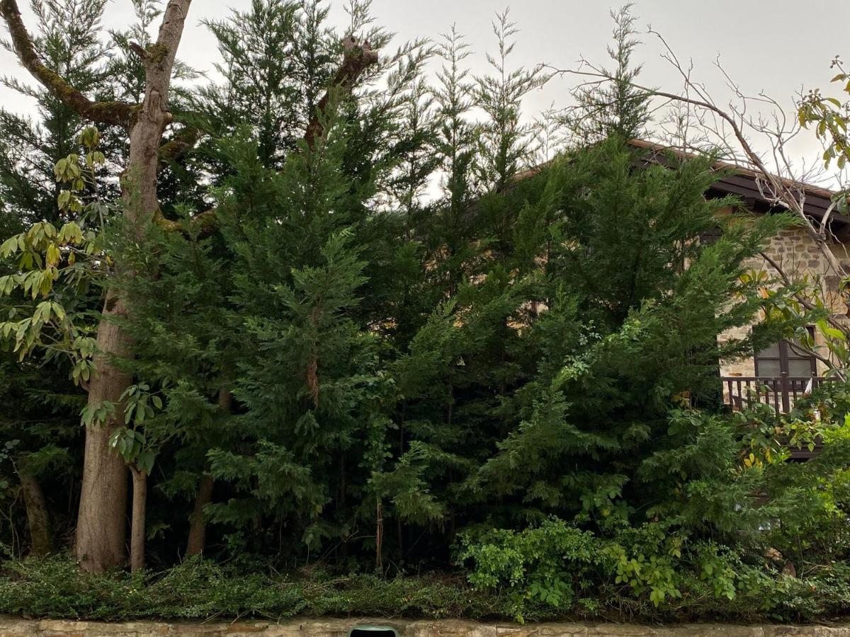 Posada Y Apartamentos Trebuesto De Guriezo Bagian luar foto